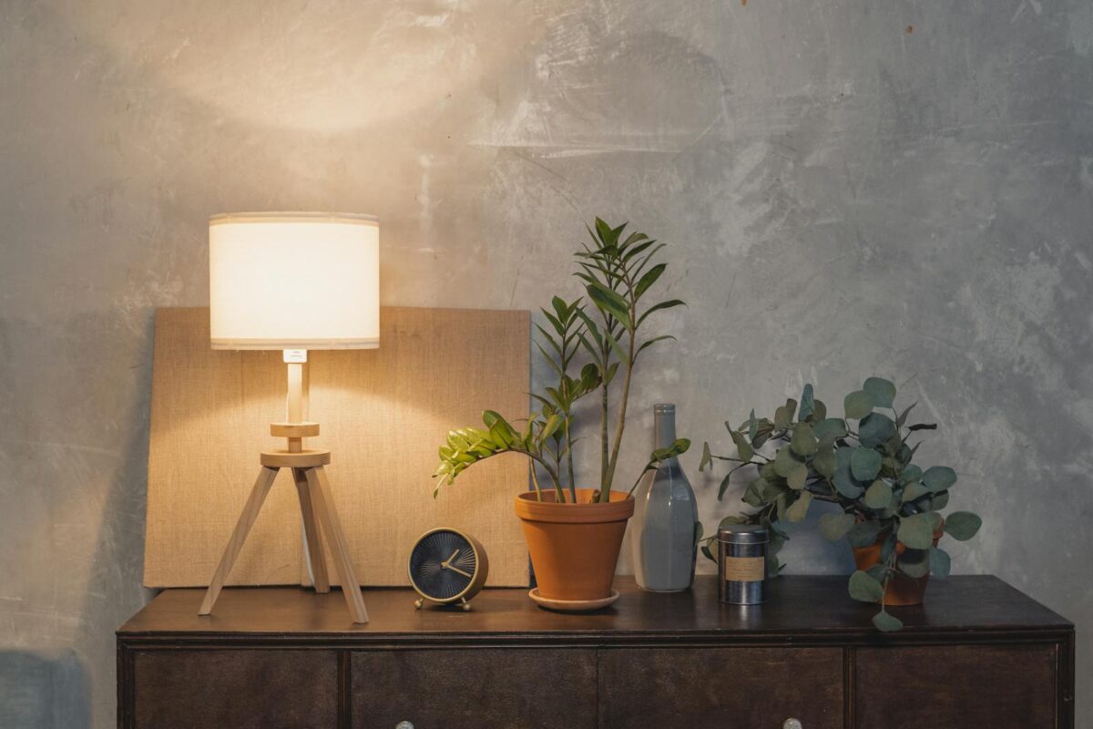 Contemporary dresser setup with plants and a lamp in a minimalist interior decor style.